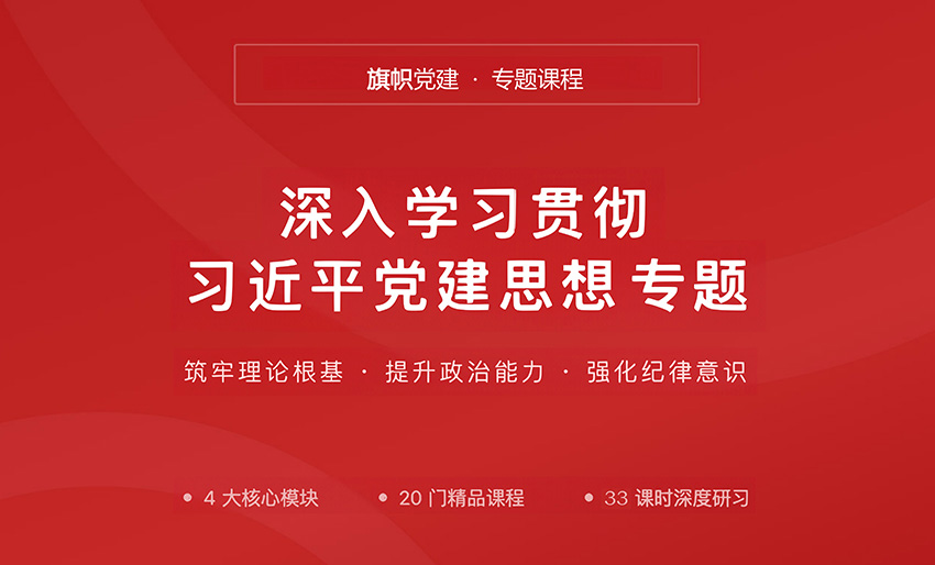 深入学习贯彻习近平党建思想专题
