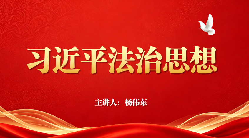 杨伟东：《习近平法治思想》