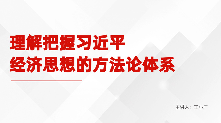 王小广 ：理解把握习近平经济思想的方法论体系