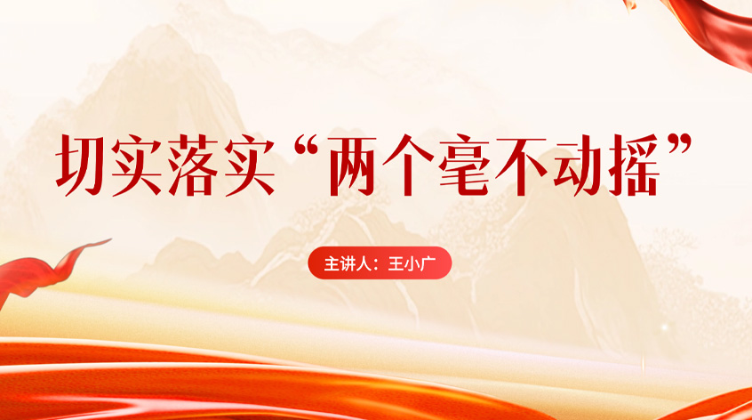 王小广：《切实落实“两个毫不动摇”》