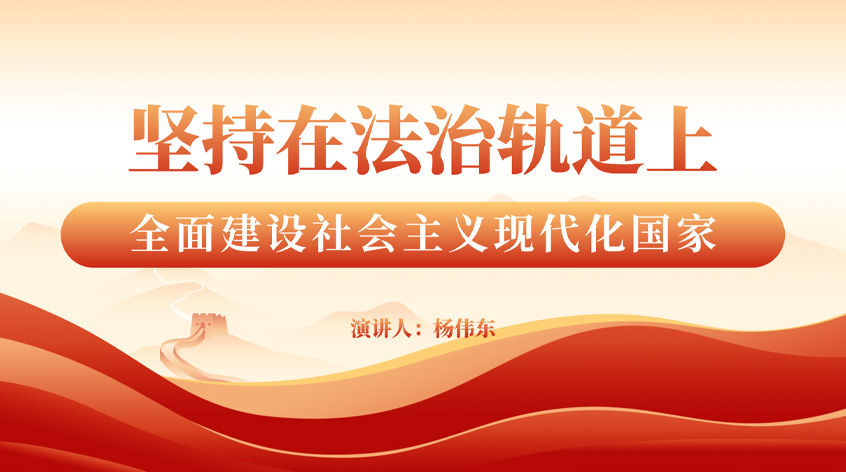杨伟东：《坚持在法治轨道上全面建设社会主义现代化国家》
