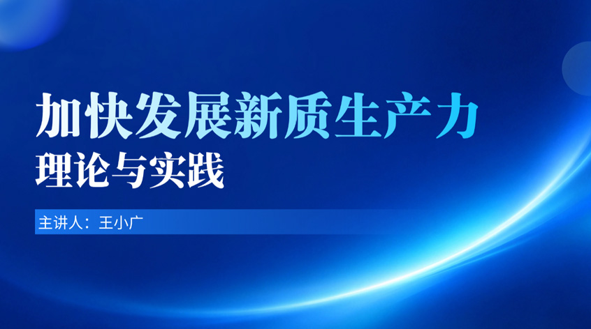 王小广：《加快发展新质生产力：理论与实践》