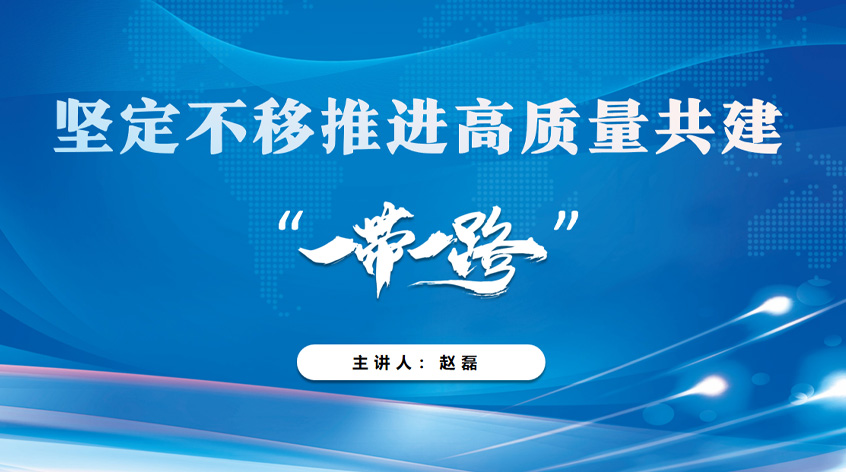 赵磊：坚定不移推进高质量共建“一带一路”