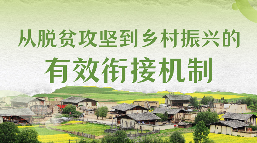 汪彬：《从脱贫攻坚到乡村振兴的有效衔接机制》