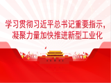 汪彬：学习贯彻习近平总书记重要指示，凝聚力量加快推进新型工业化