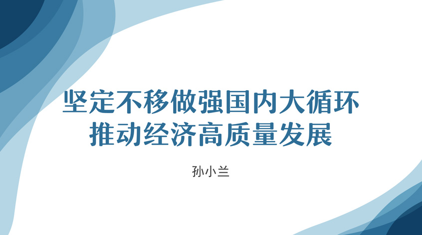 孙小兰：坚定不移做强国内大循环 推动经济高质量发展
