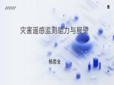 杨思全：灾害遥感监测能力与展望
