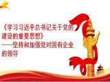 王莉：《学习习近平总书记关于党的建设的重要思想》 ——坚持和加强党对国有企业的领导