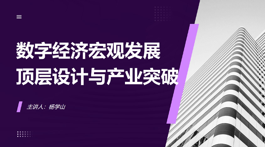 杨学山《数字经济宏观发展：顶层设计与产业突破》