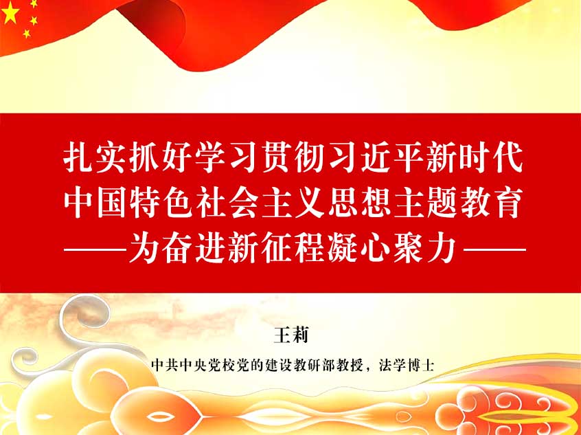 王莉：扎实抓好学习贯彻习近平新时代中国特色社会主义思想主题教育 为奋进新征程凝心聚力