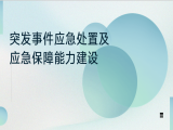 雷晓康：突发事件应急处置及应急保障能力建设