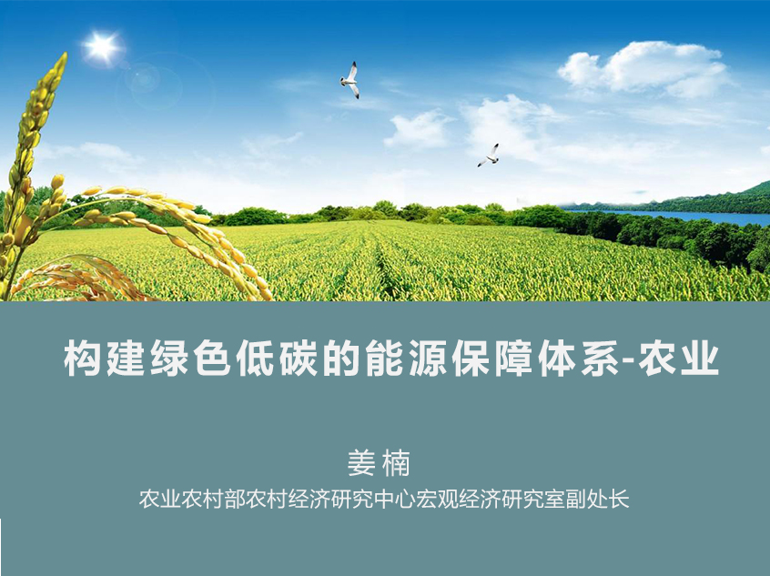 姜楠：构建绿色低碳的产业体系——农业