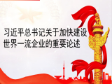 王小广：习近平总书记关于加快建设世界一流企业的重要论述