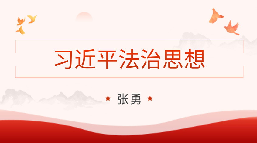 张勇：习近平法治思想