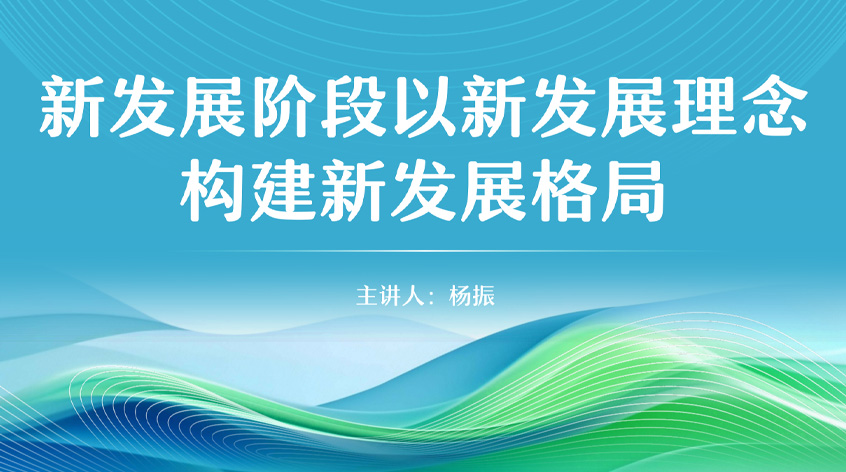 杨振：新发展阶段以新发展理念构建新发展格局