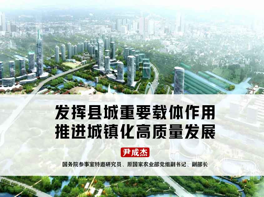 尹成杰：《发挥县城重要载体作用 推进城镇化高质量发展 》