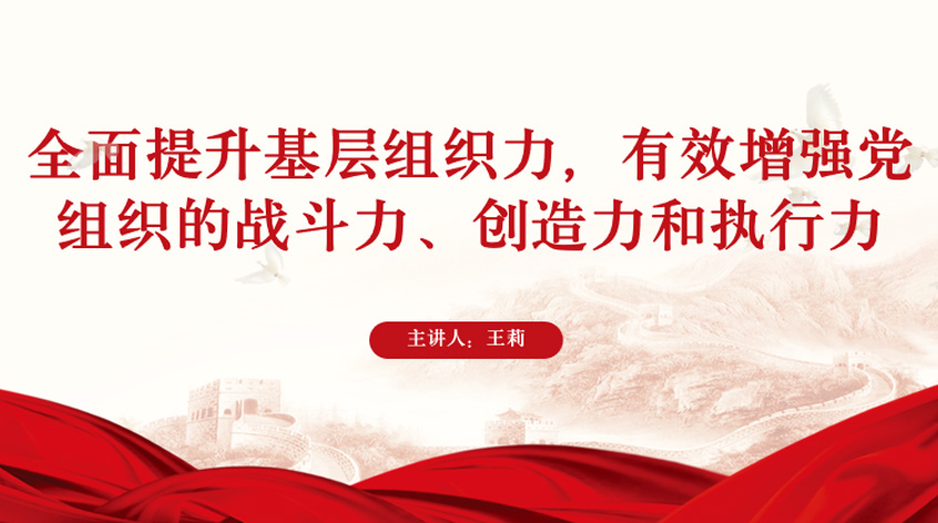王莉：《全面提升基层组织力，有效增强党组织的战斗力、创造力和执行力》