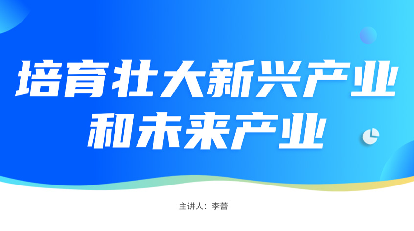 李蕾：培育壮大新兴产业和未来产业