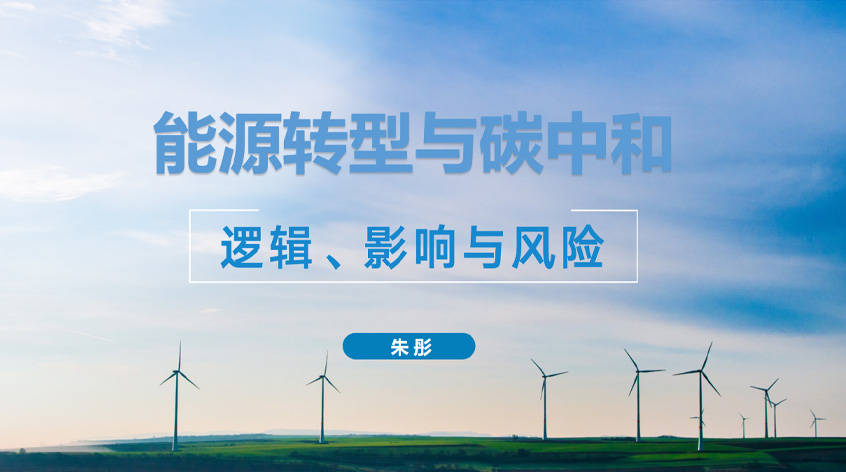 朱彤《能源转型与碳中和：逻辑、影响与风险》