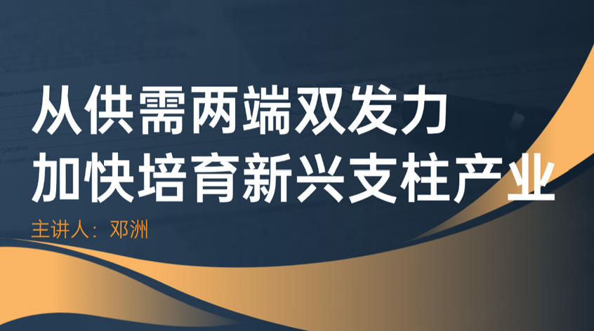 邓洲：从供需两端双发力 加快培育新兴支柱产业