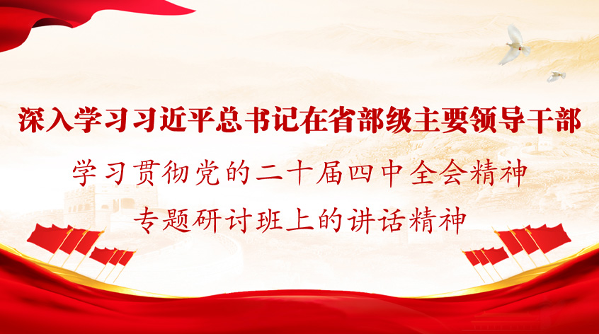 王小广：《深入学习习近平总书记在省部级主要领导干部学习贯彻党的二十届四中全会精神专题研讨班上的讲话精神》