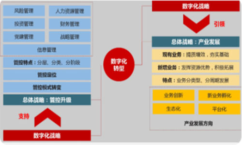 王若文：集团管控与法人治理