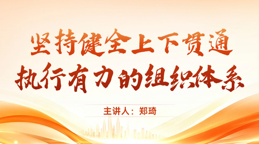 郑琦：坚持健全上下贯通、执行有力的组织体系
