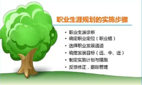 梁若冰：精英之路——职业生涯规划