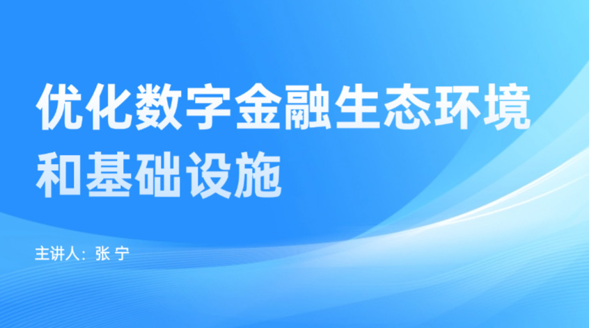 张宁：优化数字金融生态环境和基础设施