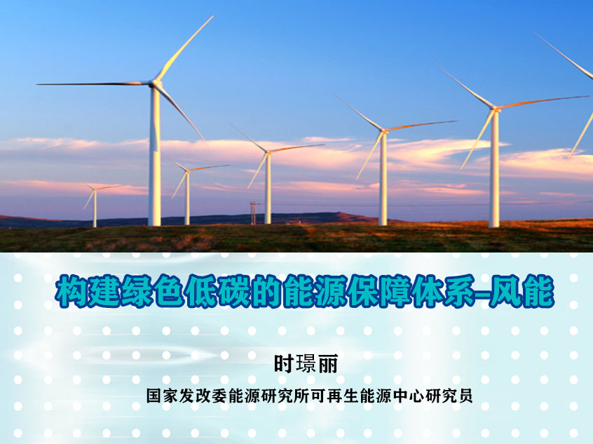 国家发改委能源研究所时璟丽：构建绿色低碳的能源保障体系-风能