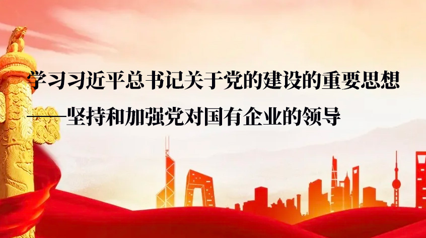 王莉：《学习习近平总书记关于党的建设的重要思想》 ——坚持和加强党对国有企业的领导