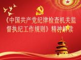 杨伟东：《中国共产党纪律检查机关监督执纪工作规则》精神解读