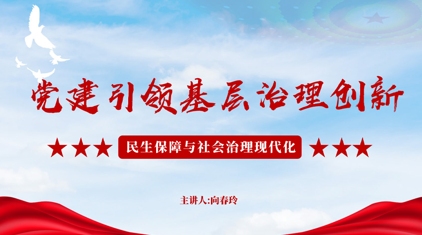 向春玲：党建引领基层治理创新：民生保障与社会治理现代化