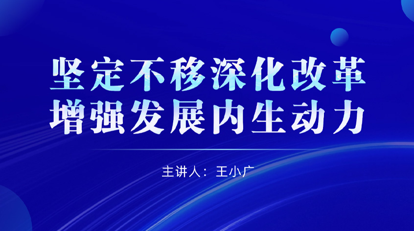 王小广：《坚定不移深化改革，增强发展内生动力》