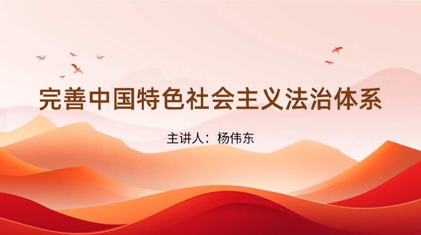 杨伟东：《完善中国特色社会主义法治体系》