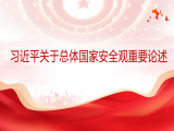 罗建波：习近平关于总体国家安全观重要论述