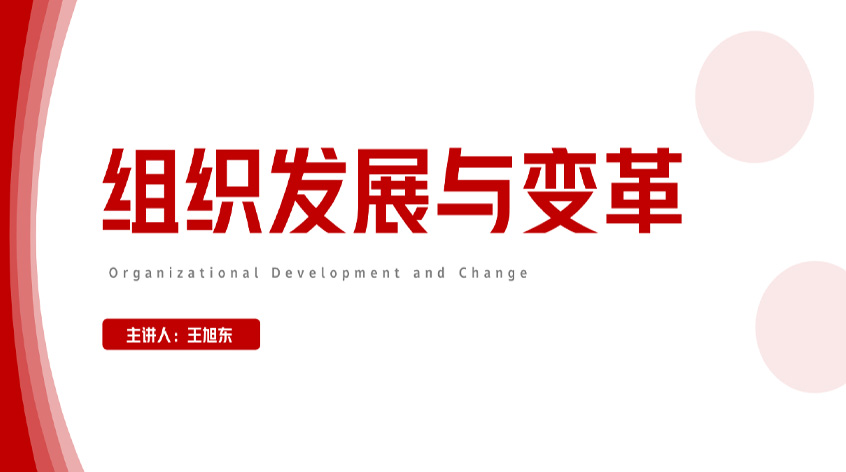 王旭东：《组织发展与变革》