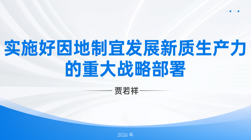 贾若祥：实施好因地制宜发展新质生产力的重大战略部署