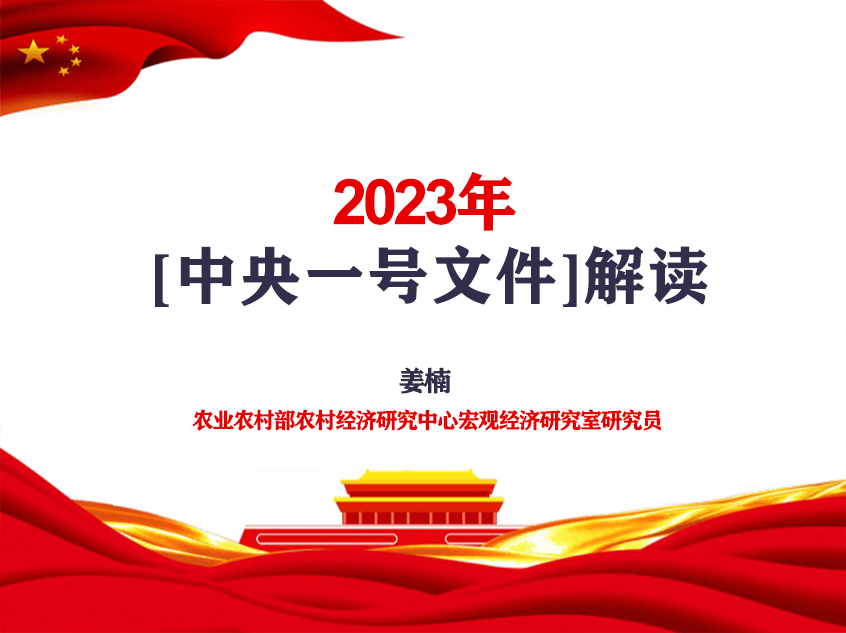 姜楠：​2023年中央一号文件解读