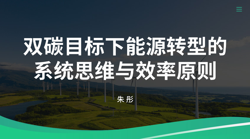 朱彤《双碳目标下能源转型的系统思维与效率原则》
